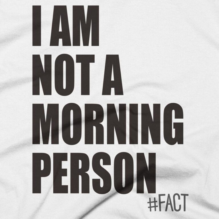 Not A Morning Person Mens T-Shirt - The Fact Shop