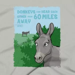 Donkey Clothing Design #FACT - Close Up - Silver