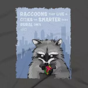 Raccoons Clothing Design #FACT - Close Up - Asphalt