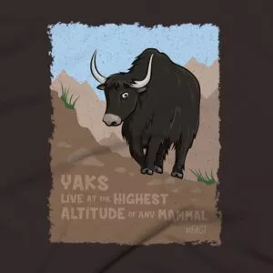 Yaks Clothing Design #FACT - Close Up - Brown