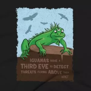 Iguanas Clothing Design #FACT - Close Up - Black