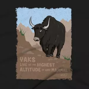 Yaks Clothing Design #FACT - Close Up - Black