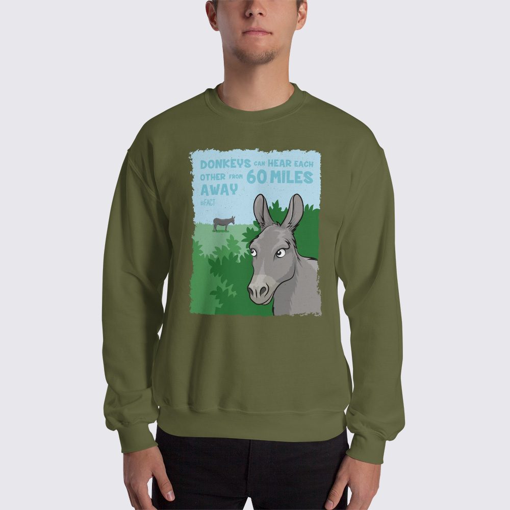 Donkey sweatshirt 2025