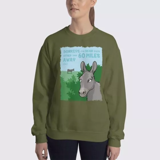 Donkey Fact Womens Sweatshirt - The Fact Shop